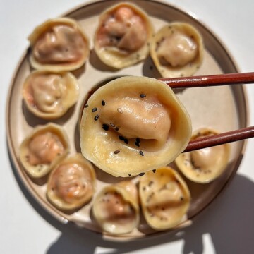 Close up of a dumpling with kimchi and tofu.
