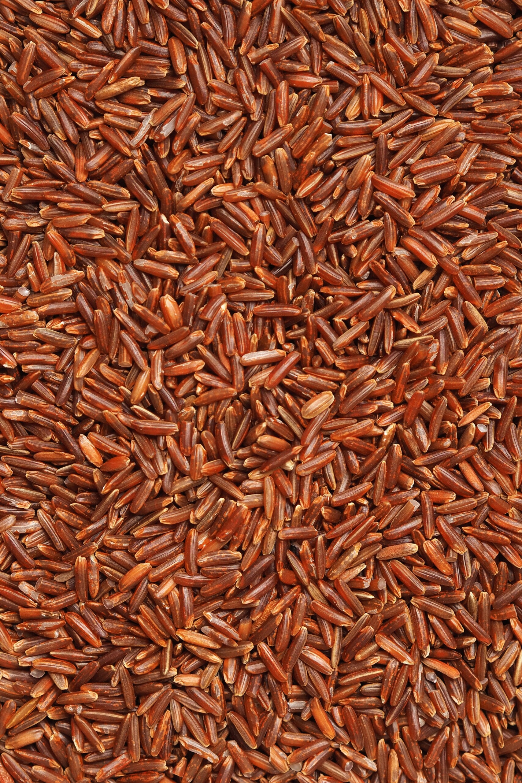 Close up of brown rice.