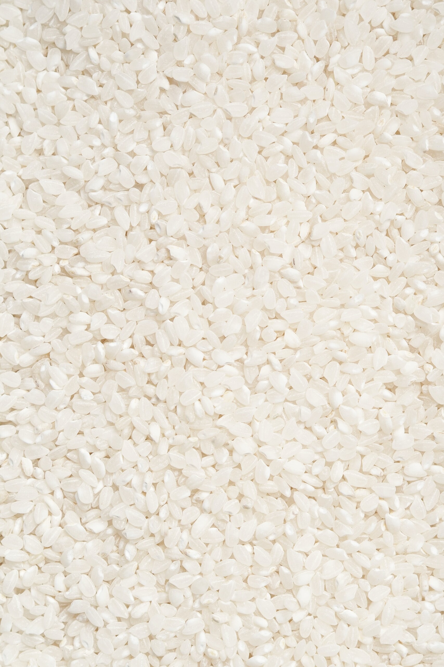 Arborio rice. 