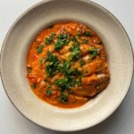 Chicken paprikash with noodles in bowl.