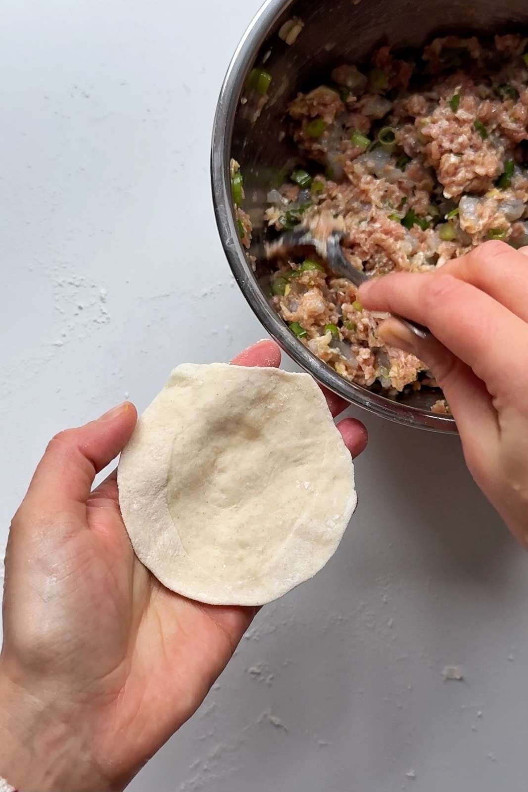 Dumpling wrapper.