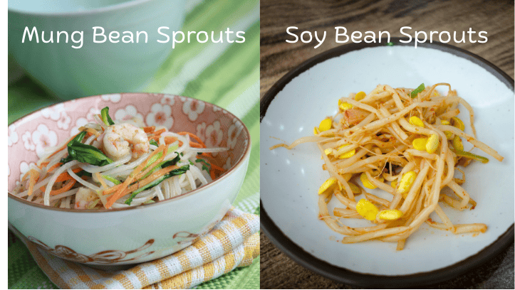 A comparison photo showing mung bean sprouts on the left and soy bean sprouts on the right
