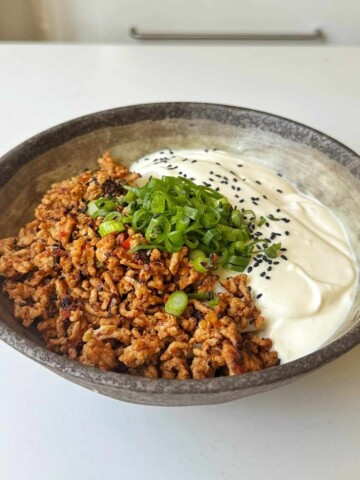 Stone bowl of crispy spiced ground meat next to smooth blended tofu cream, garnished with green onions and black sesame seeds, before mixing
