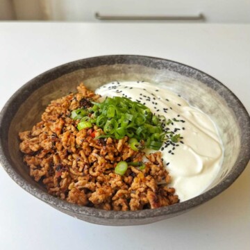 Stone bowl of crispy spiced ground meat next to smooth blended tofu cream, garnished with green onions and black sesame seeds, before mixing