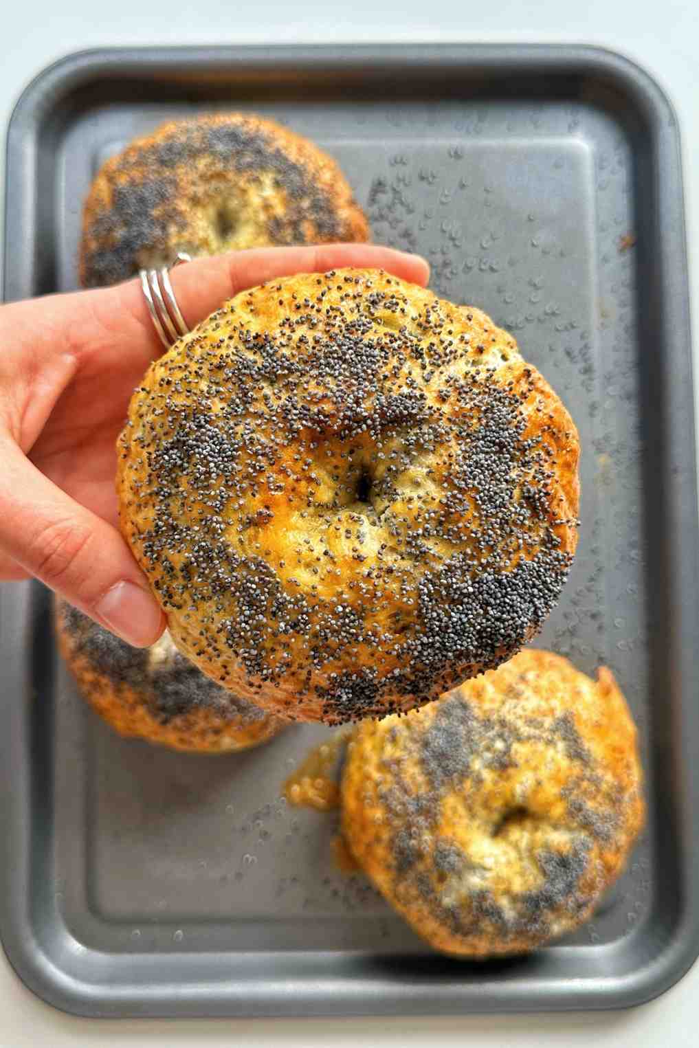 Hand holding a golden homemade poppy seed bagel over a baking tray of freshly baked bagels