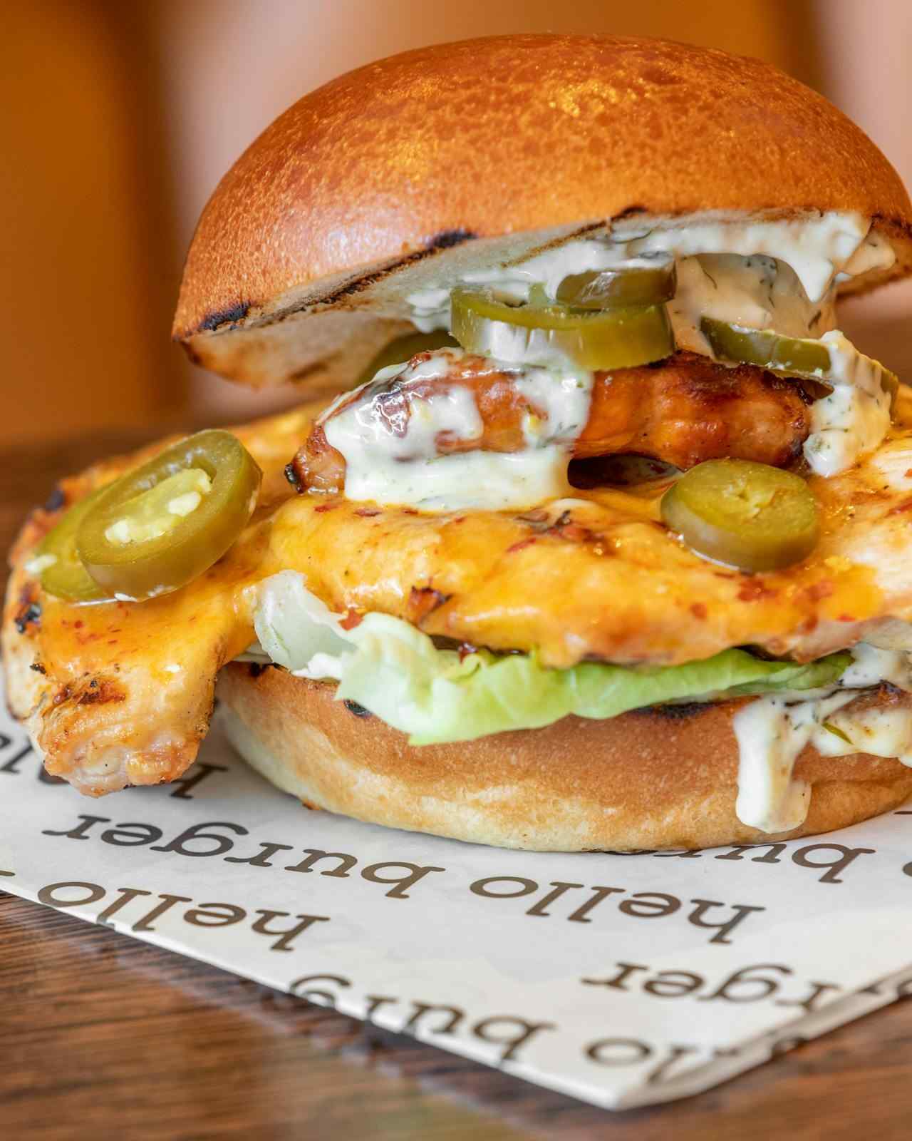 A grilled chicken burger with melted cheddar, hot honey, sliced pickled jalapeños, crisp lettuce, and a creamy herbed dressing on a toasted brioche bun.