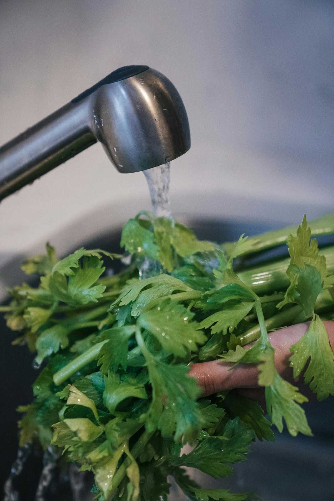 A close-up of a person's hand holding a bunch of vibrant green celery stalks and leaves under a stream of water from a silver kitchen faucet.