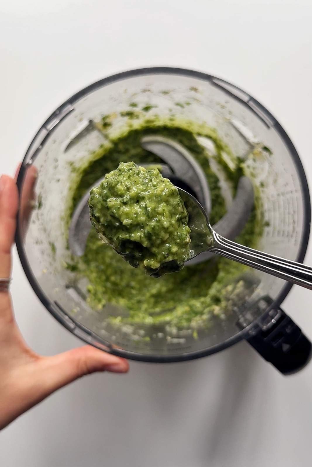 A spoonful of pesto from a food processor full of pesto.