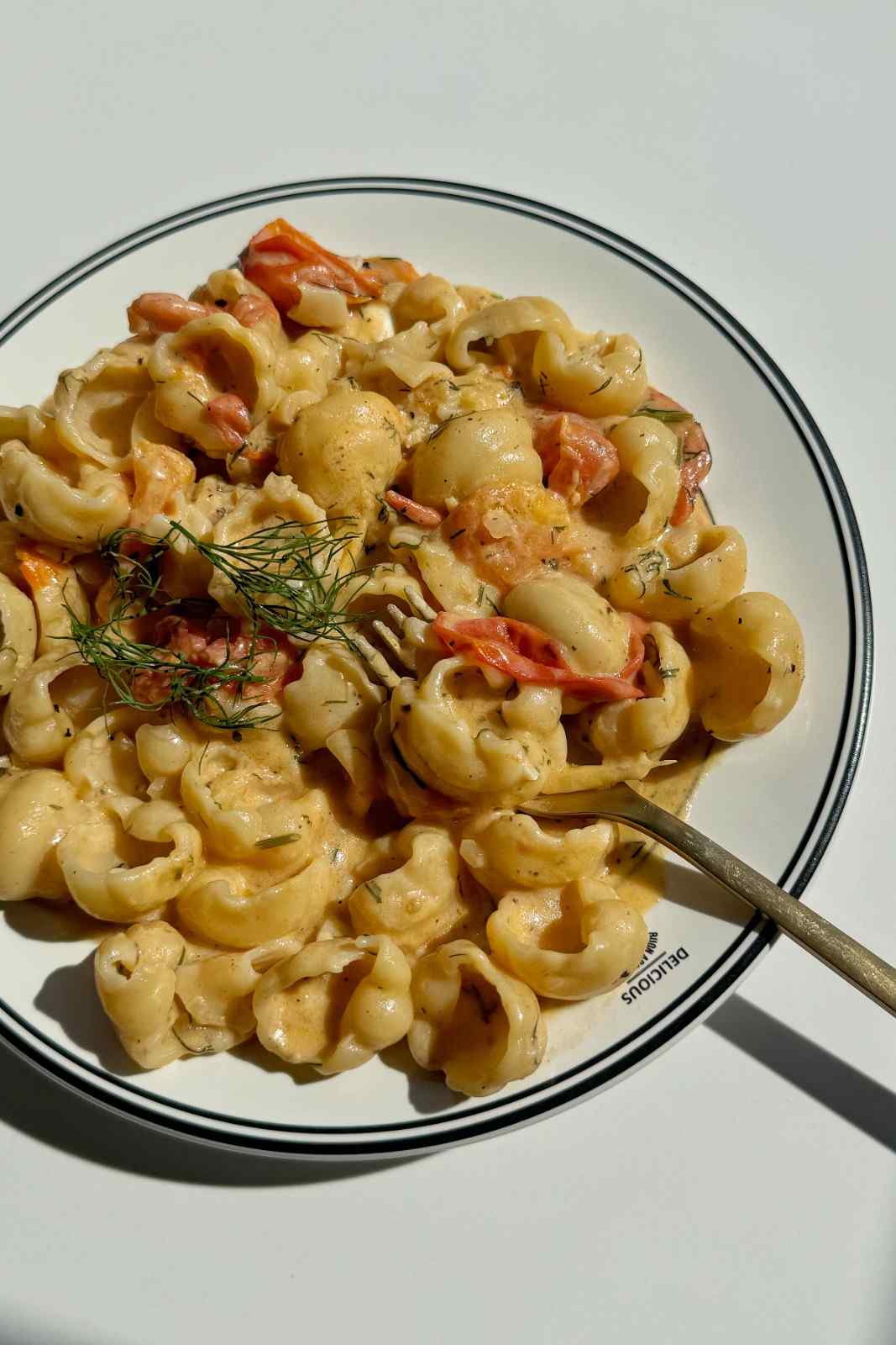 Creamy goat cheese pasta with conchiglie pasta, cherry tomatoes and fresh dill in a white bowl with a fork.