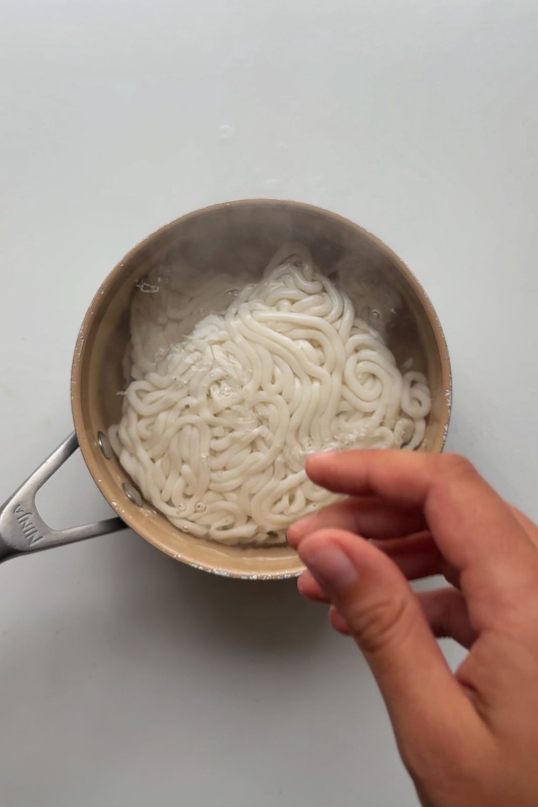 Cooking udon noodles in saucepan.