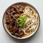 bowl of beef udon in broth topped with scallions