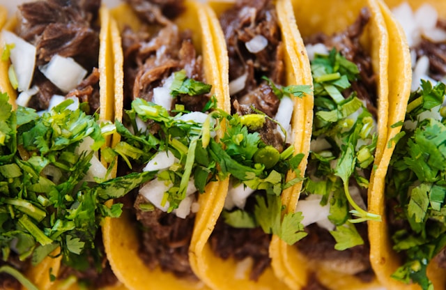 Close-up of street tacos on yellow corn tortillas piled with chopped fresh cilantro and diced white onion over shredded beef.