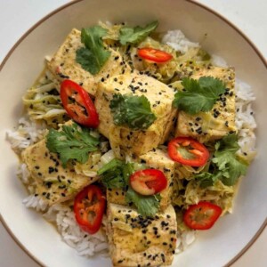 Overhead shot of giant tofu curry over jasmine rice, topped with cilantro, sliced red chili and black sesame seeds.