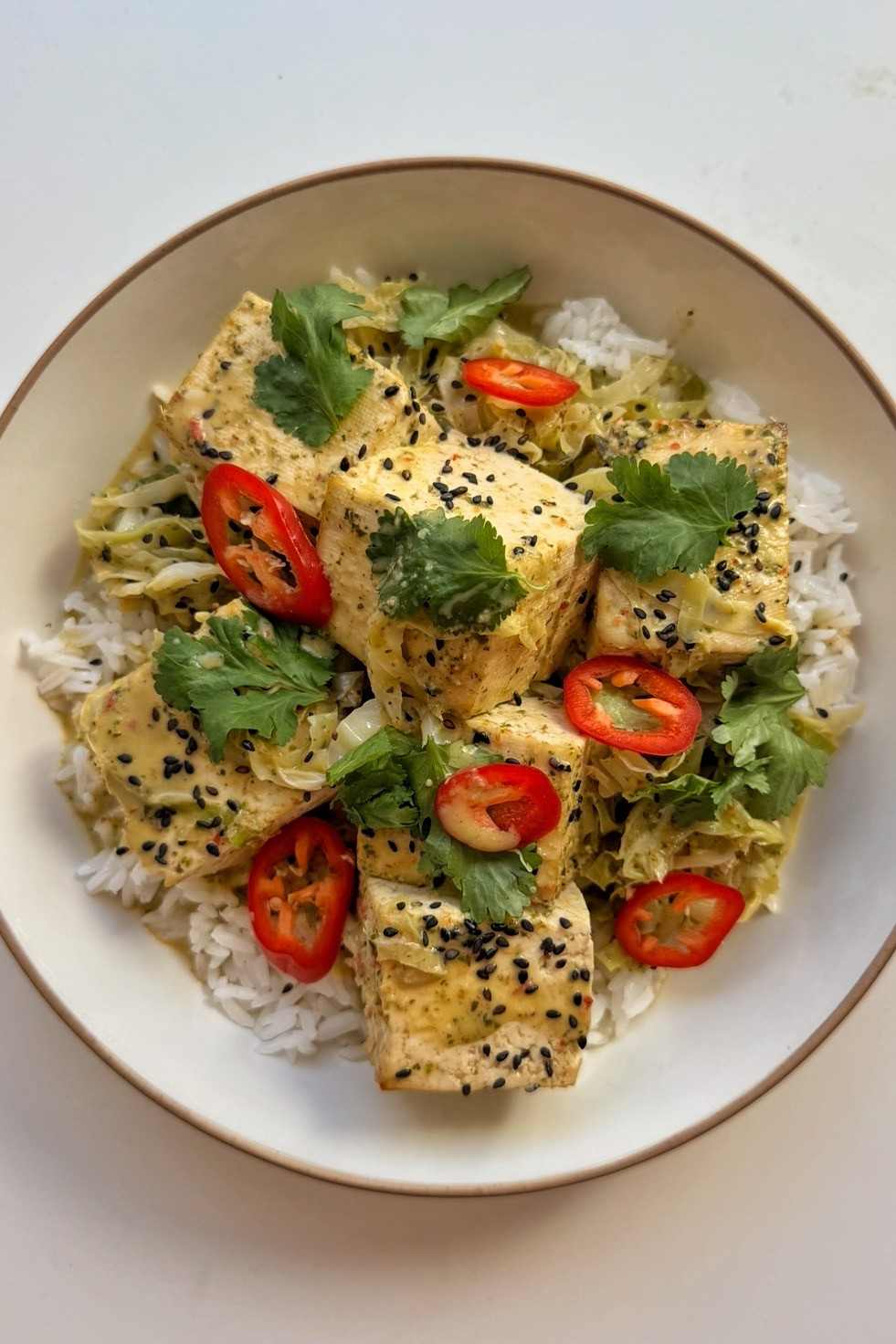 Overhead shot of giant tofu curry over jasmine rice, topped with cilantro, sliced red chili and black sesame seeds.