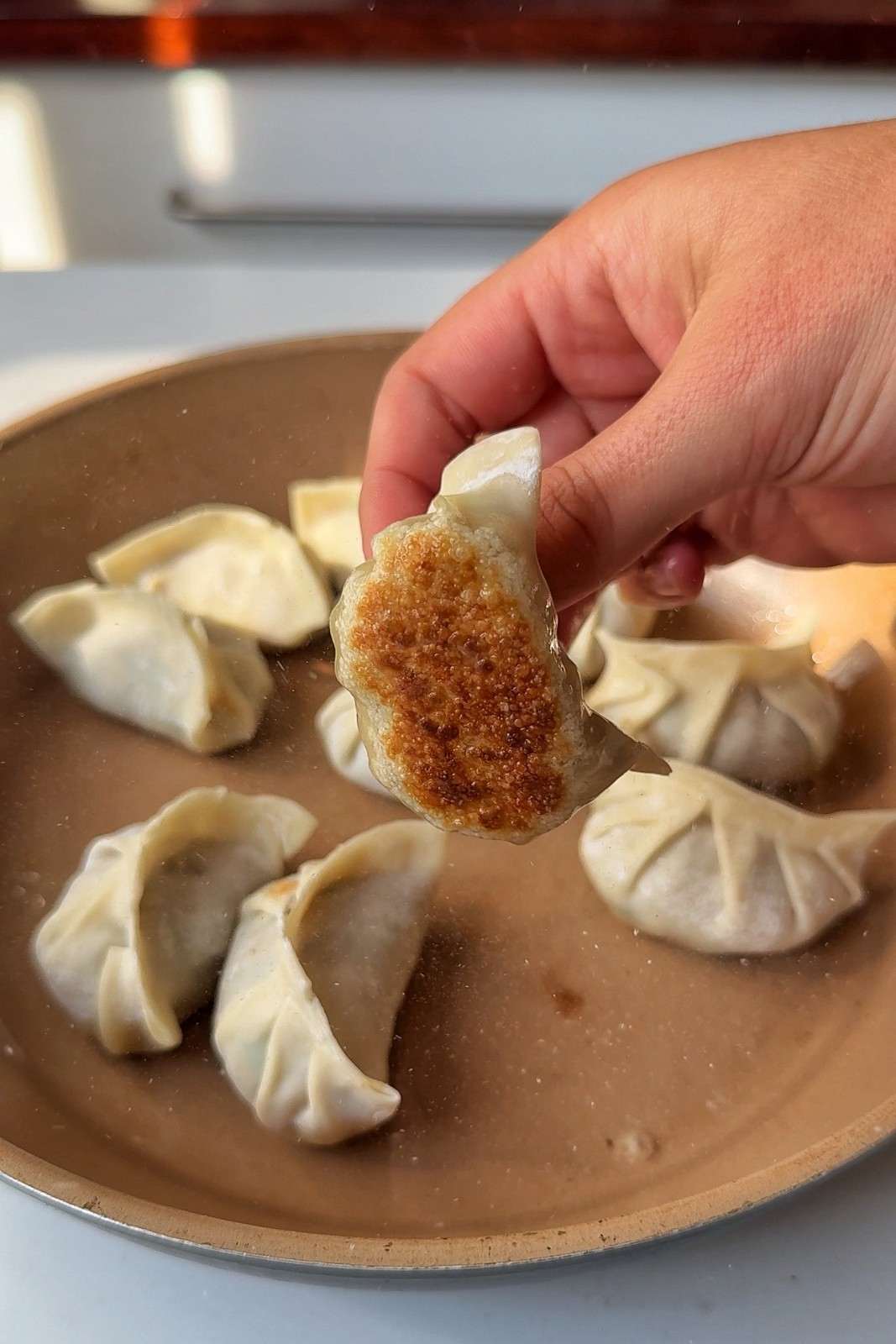 A potsticker held up over a skillet to show its golden, crispy fried bottom.