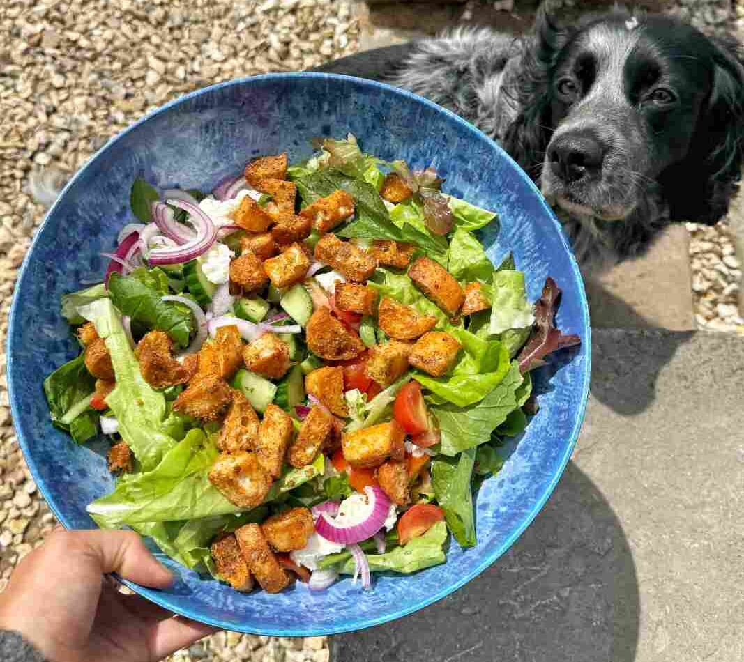 Golden homemade ciabatta croutons with parmesan and oregano on top of a bowl of green salad.